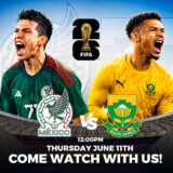 agaves WORLD CUP X TV IN