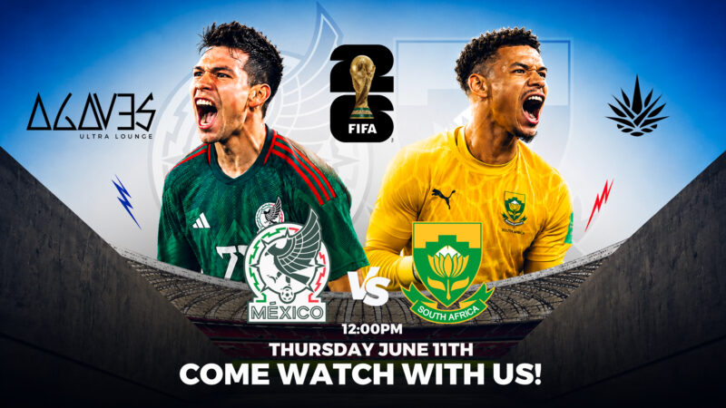 agaves WORLD CUP X TV IN